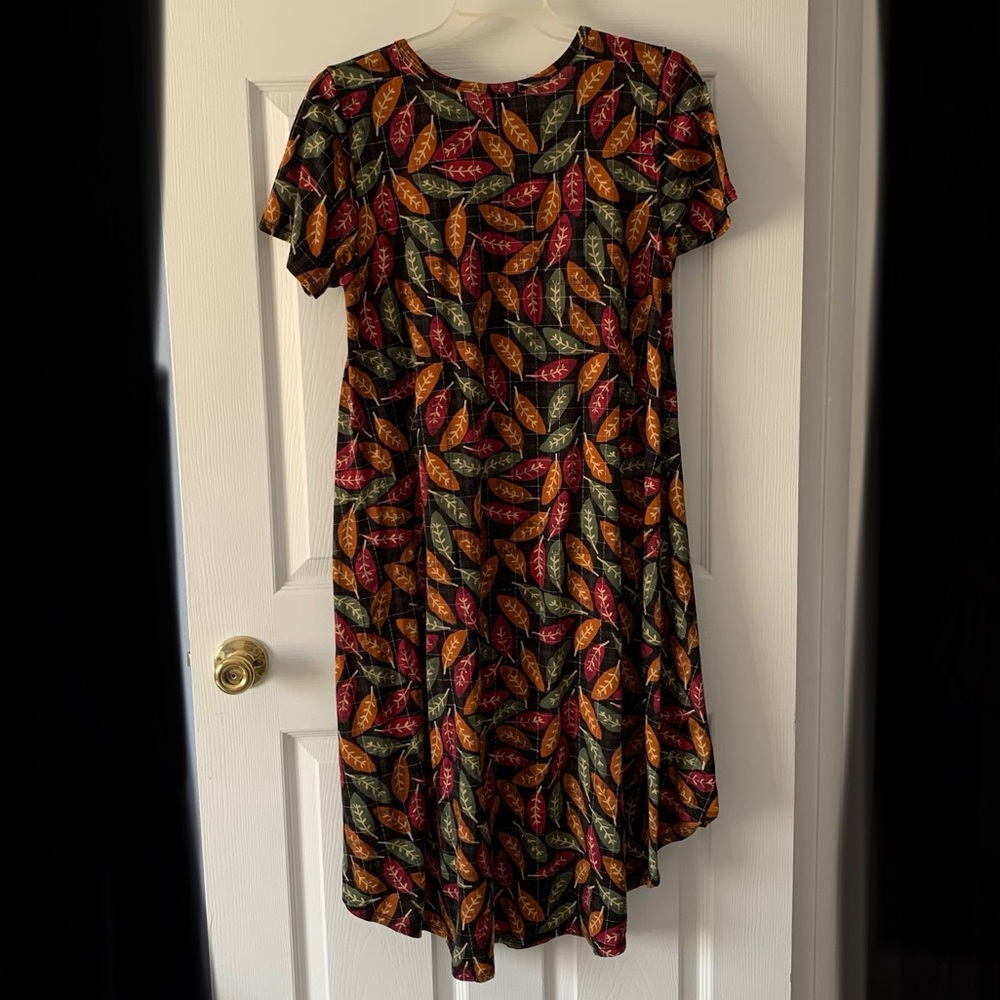 LuLaRoe Colorful Leaves Carly Dress Medium - Picture 5 of 5